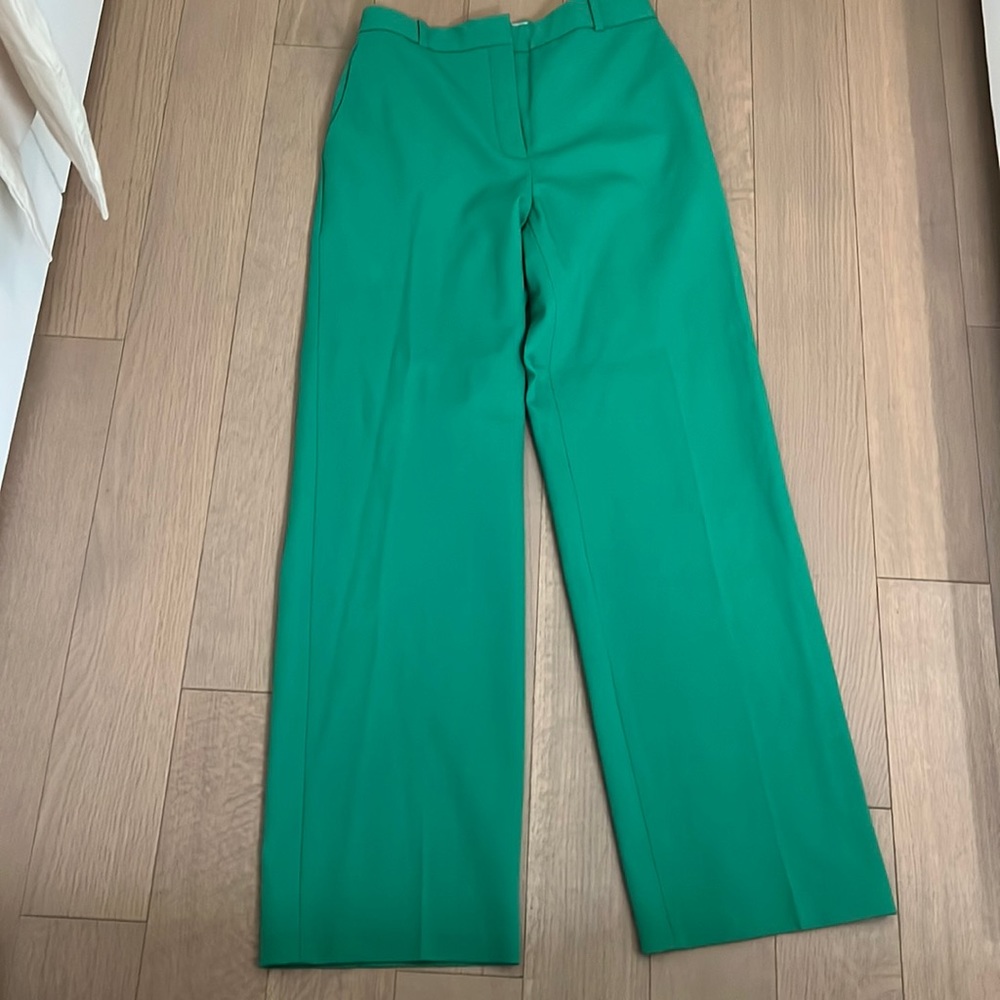 Green Babaton pants! Purchased from Aritzia! Totally Kendall Jenner pants green